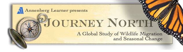 Journey North Logo